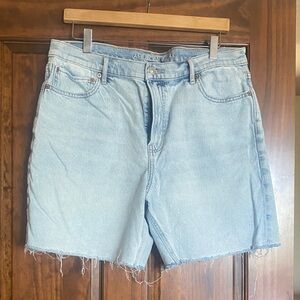 American Eagle Light Blue Denim Cutoff Shorts
